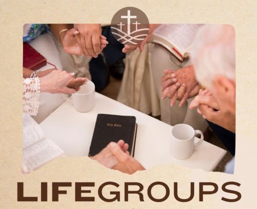 Life Groups